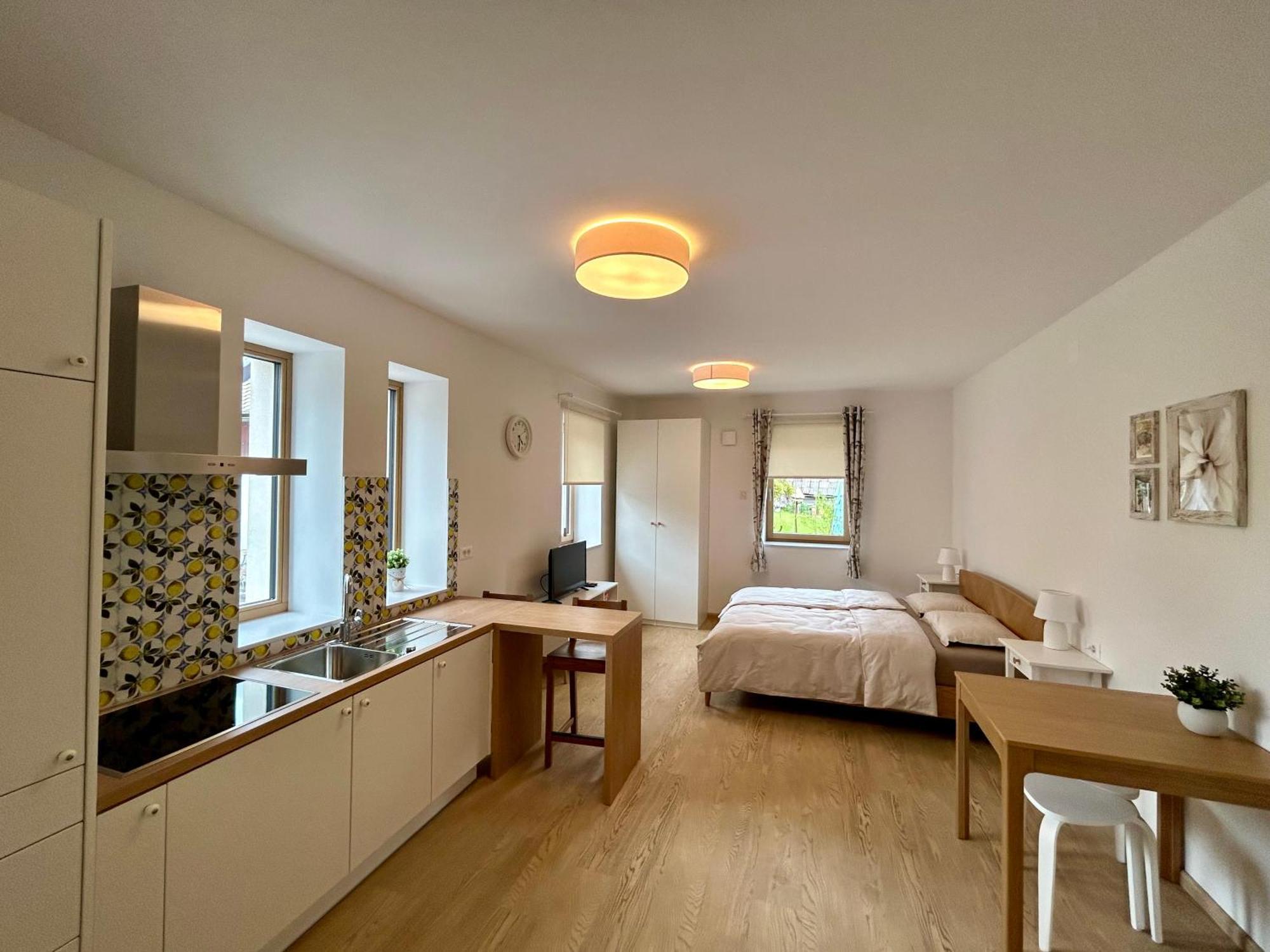Apartment Gallus *