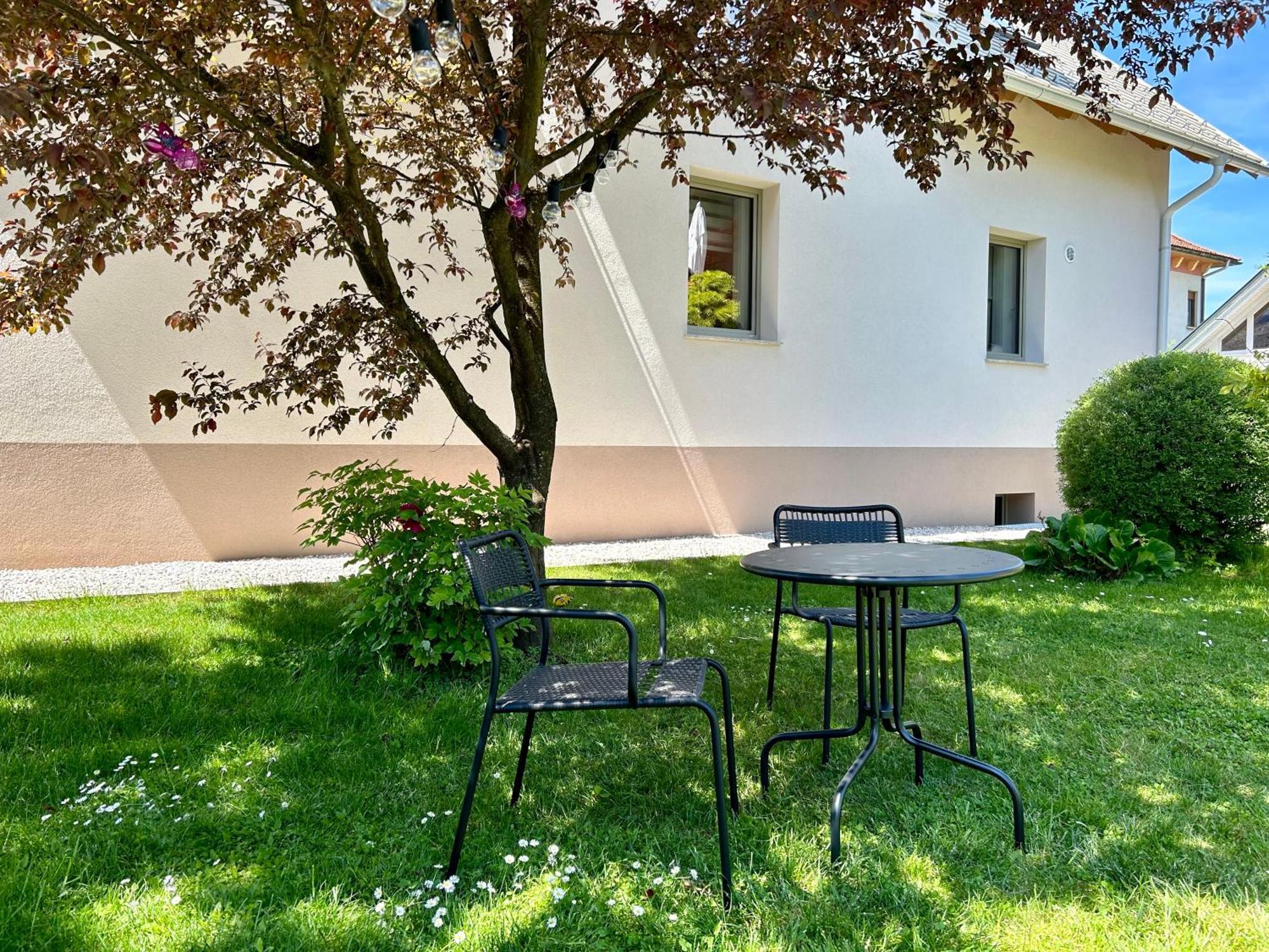 Apartment Gallus *
